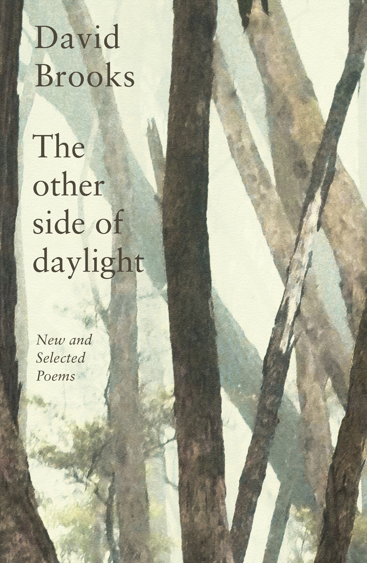 The Other Side of Daylight: New and selected poems